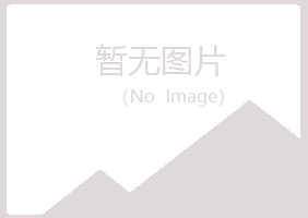 锡林郭勒白山化学有限公司